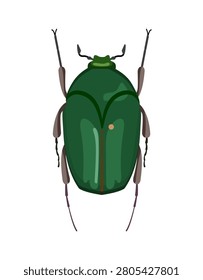 Flat vector illustration of a shiny green flower chafer beetle isolated on white background.