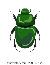 Flat vector illustration of a shiny green rose chafer beetle cetonia aurata insect isolated on white background.