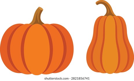 Flat vector illustration showing pumpkin development from small green fruit to mature orange squash.