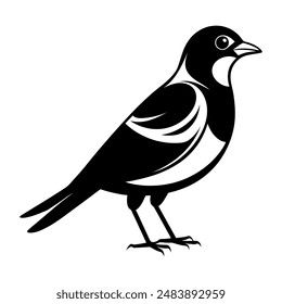 Silueta de Ilustración vectorial plana Hermosas aves colección | Ilustración vectorial de silueta aislada sobre un fondo blanco