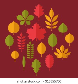 Flat vector illustration: Silhouettes of different tree leaves (elm, beech, ash, linden, birch, alder, aspen, willow, maple,  poplar, rowan, hawthorn, walnut, apple, oak, acacia, chestnut, conker).