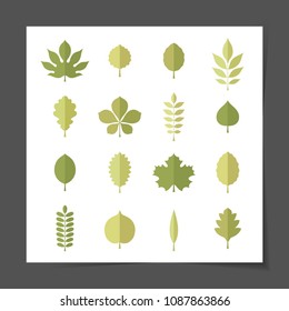 Flat vector illustration: Silhouettes of green tree leaves (elm, beech, ash, linden, birch, alder, aspen, willow, maple, walnut, apple, oak, acacia, chestnut, conker) isolated on white background
