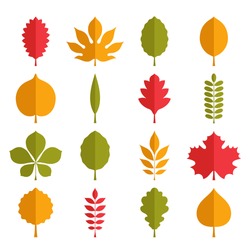 Flat Vector Illustration: Silhouettes Of Tree Leaves (elm, Birch, Alder, Aspen, Willow, Maple,  Poplar, Rowan, Hawthorn, Walnut, Apple, Oak, Acacia, Chestnut, Conker Etc.) Isolated On White Background