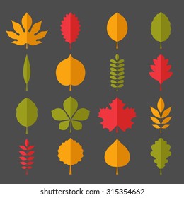 Flat vector illustration: Silhouettes of tree leaves (elm, beech, linden, willow, maple,  poplar, rowan, hawthorn, walnut, apple, oak, acacia, chestnut, conker etc.) isolated on dark gray background