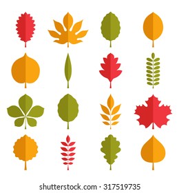 Flat vector illustration: silhouettes of tree leaves (elm, birch, alder, aspen, willow, maple,  poplar, rowan, hawthorn, walnut, apple, oak, acacia, chestnut, conker etc.) isolated on white background