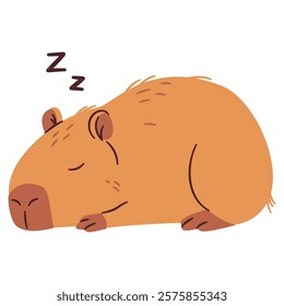 Flat vector illustration in a simple children's style. Cute capybara sleeping on white background 