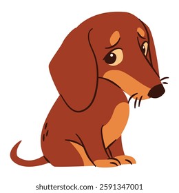 Flat vector illustration in a simple children's style. Cute sad dachshund dog sitting on white background