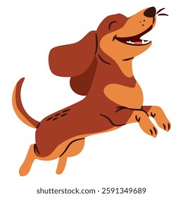 Flat vector illustration in a simple children's style. Cute happy dachshund dog jumping for joy 