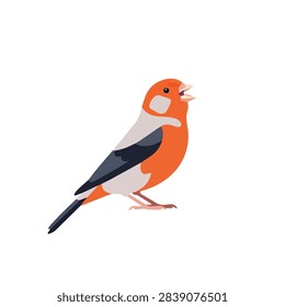 Flat vector illustration of a singing linnet songbird isolated on white background