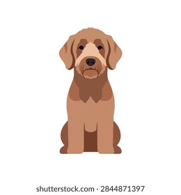 Flat vector illustration of a sitting brown doodle dog, scruffy fur, isolated on white background