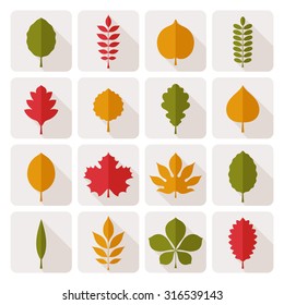 Flat vector illustration: sixteen light gray rounded corners stickers with different tree leaves with diagonal shadows isolated on white background