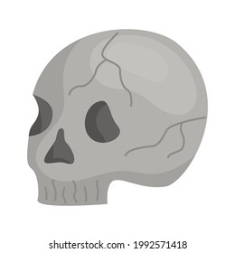 Flat vector illustration of a skull with cracks