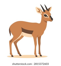 A flat vector illustration of a small African dik-dik antelope standing, isolated on a white background, featuring realistic color markings and delicate features.