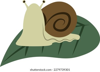 Flat vector illustration of a snail