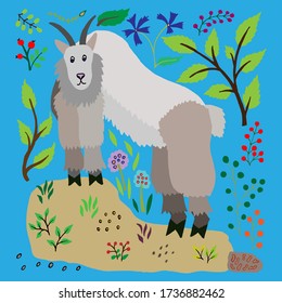 Flat vector illustration of a snow goat. Oreamnos americanus. An ungulate animal stands on a rock among wild herbs and berries. Animal in the wild. Isolated design for a children's book, poster, card.