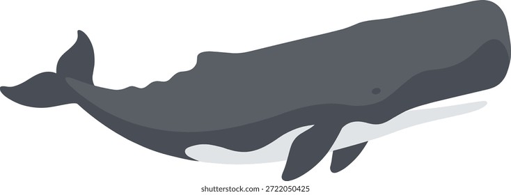 Ilustración vectorial plana de un cachalote nadando.