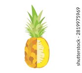 A flat vector illustration of a split pineapple on a white background