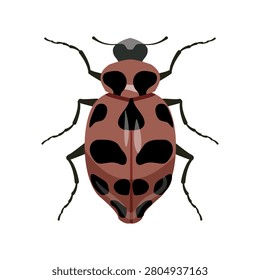 Flat vector illustration of a spotted pink and brown leaf beetle isolated on white background.