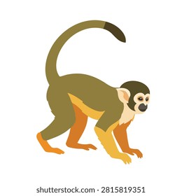 A flat vector illustration of a squirrel monkey standing and looking forward isolated on a white background