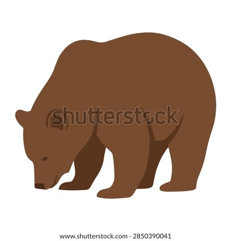 Flat Vector Illustration of a Standing Brown Grizzly Bear Looking Down Isolated on White Background