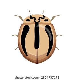 Flat vector illustration of a striped beige and black leaf beetle insect isolated on white background.