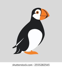 Flat vector illustration of a stylized Atlantic puffin with black body, orange beak, and white belly, minimalistic design, plain white background