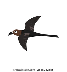 Flat vector illustration of a stylized black kite with brown-black body, forked tail, and sharp beak, minimalistic design, plain white background