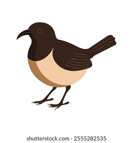 Flat vector illustration of a stylized bulbul with brown body, short curved beak, and medium tail, minimalistic design, plain white background