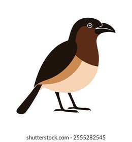 Flat vector illustration of a stylized bulbul with brown body, short curved beak, and medium tail, minimalistic design, plain white background