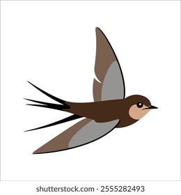 Flat vector illustration of a stylized common swift with brown body, sleek wings, and minimalistic design, plain white background