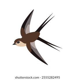 Flat vector illustration of a stylized common swift with brown body, sleek wings, and minimalistic design, plain white background