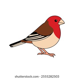 Flat vector illustration of a stylized common finch with red-brown body, short beak, and smooth wings, minimalistic design, plain white background