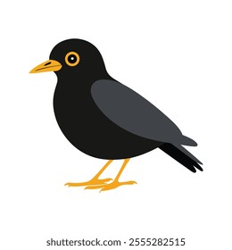 Flat vector illustration of a stylized common blackbird with black body, yellow-orange beak, and wide wings, minimalistic design, plain white background