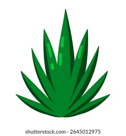 Ilustração de vetor plano de uma planta de deserto verde estilizado com folhas pontiagudas afiadas. Ideal para temas de paisagens áridas, flora tolerante à seca, plantas suculentas ou agaves.