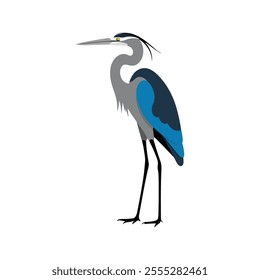 Flat vector illustration of a stylized heron with gray-blue body, long pointed beak, and tall slender legs, minimalistic design, plain white background