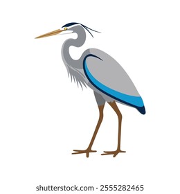 Flat vector illustration of a stylized heron with gray-blue body, long pointed beak, and tall slender legs, minimalistic design, plain white background