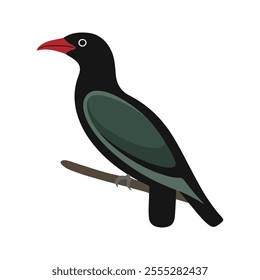 Flat vector illustration of a stylized koel with black body, red beak, and long wings, minimalistic design, cartoonish style, plain white background