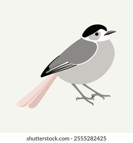 Flat vector illustration of a stylized long-tailed tit with soft gray body, pink accents, and long tail, minimalistic design, plain white background