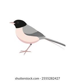 Flat vector illustration of a stylized long-tailed tit with soft gray body, pink accents, and long tail, minimalistic design, plain white background