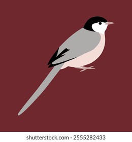 Flat vector illustration of a stylized long-tailed tit with soft gray body, pink accents, and long tail, minimalistic design, plain white background