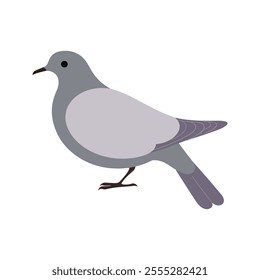 Flat vector illustration of a stylized mourning dove with gray body, lavender wings, and long tail, minimalistic design, plain white background