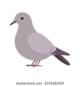 Flat vector illustration of a stylized mourning dove with gray body, lavender wings, and long tail, minimalistic design, plain white background