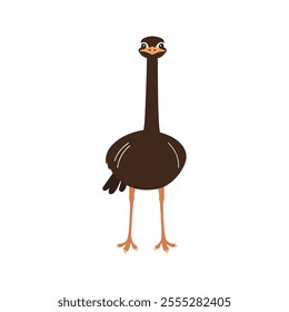 Flat vector illustration of a stylized ostrich with brown body, long neck, and strong legs, minimalistic design, plain white background