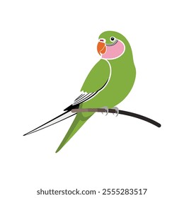 Flat vector illustration of a stylized rose-ringed parakeet with green body, pink neck ring, and orange beak, minimalistic design, plain white background