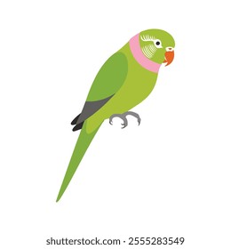 Flat vector illustration of a stylized rose-ringed parakeet with green body, pink neck ring, and orange beak, minimalistic design, plain white background