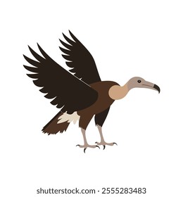 Flat vector illustration of a stylized vulture with dark brown body, bald head, and large wings, minimalistic design, plain white background