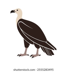 Flat vector illustration of a stylized vulture with dark brown body, bald head, and large wings, minimalistic design, plain white background