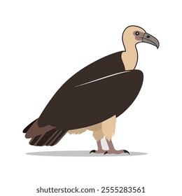 Flat vector illustration of a stylized vulture with dark brown body, bald head, and large wings, minimalistic design, plain white background