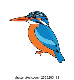 Flat vector illustration of a stylized white-throated kingfisher with blue body, white throat, orange beak, and short tail, minimalistic design, plain white background