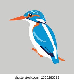 Flat vector illustration of a stylized white-throated kingfisher with blue body, white throat, orange beak, and short tail, minimalistic design, plain white background